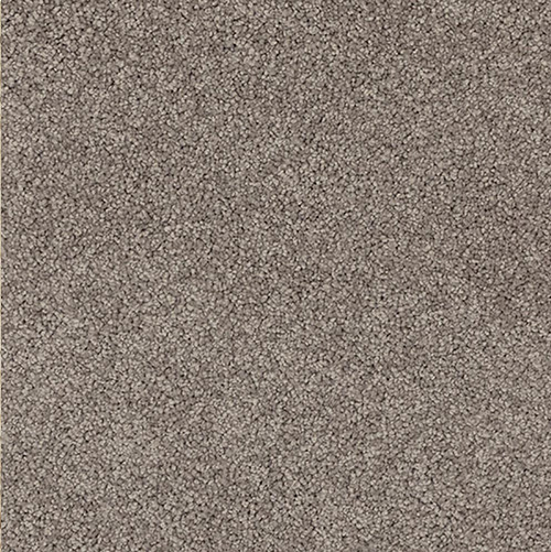 SDN, PP, PPE and OLEFIN